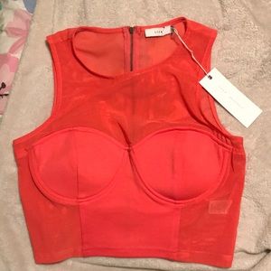 lush crop top with mesh detailing from nastygal